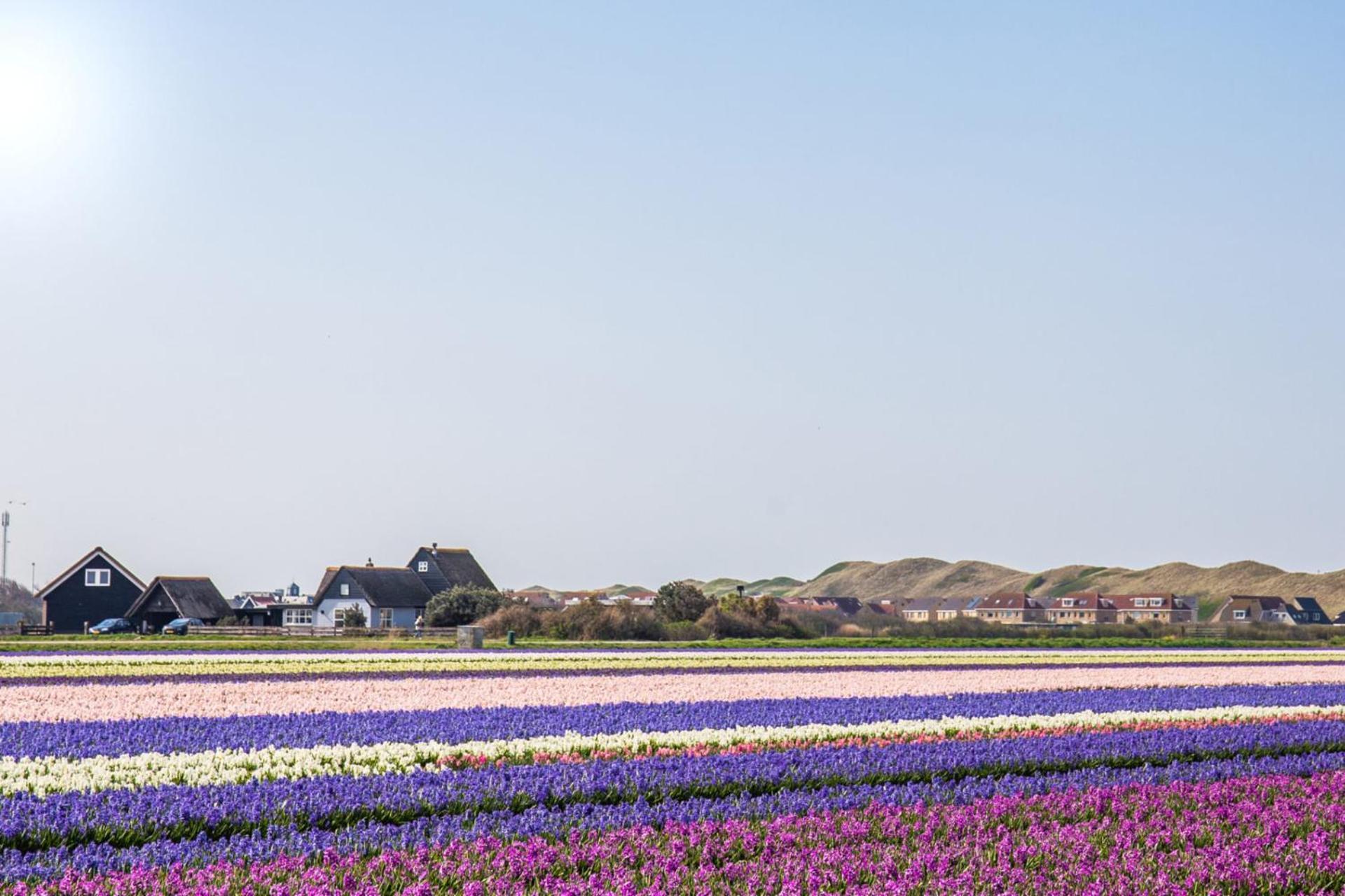 Beach Appartement 14 - Aan De Duinen, Callantsoog Aan Zee Εξωτερικό φωτογραφία