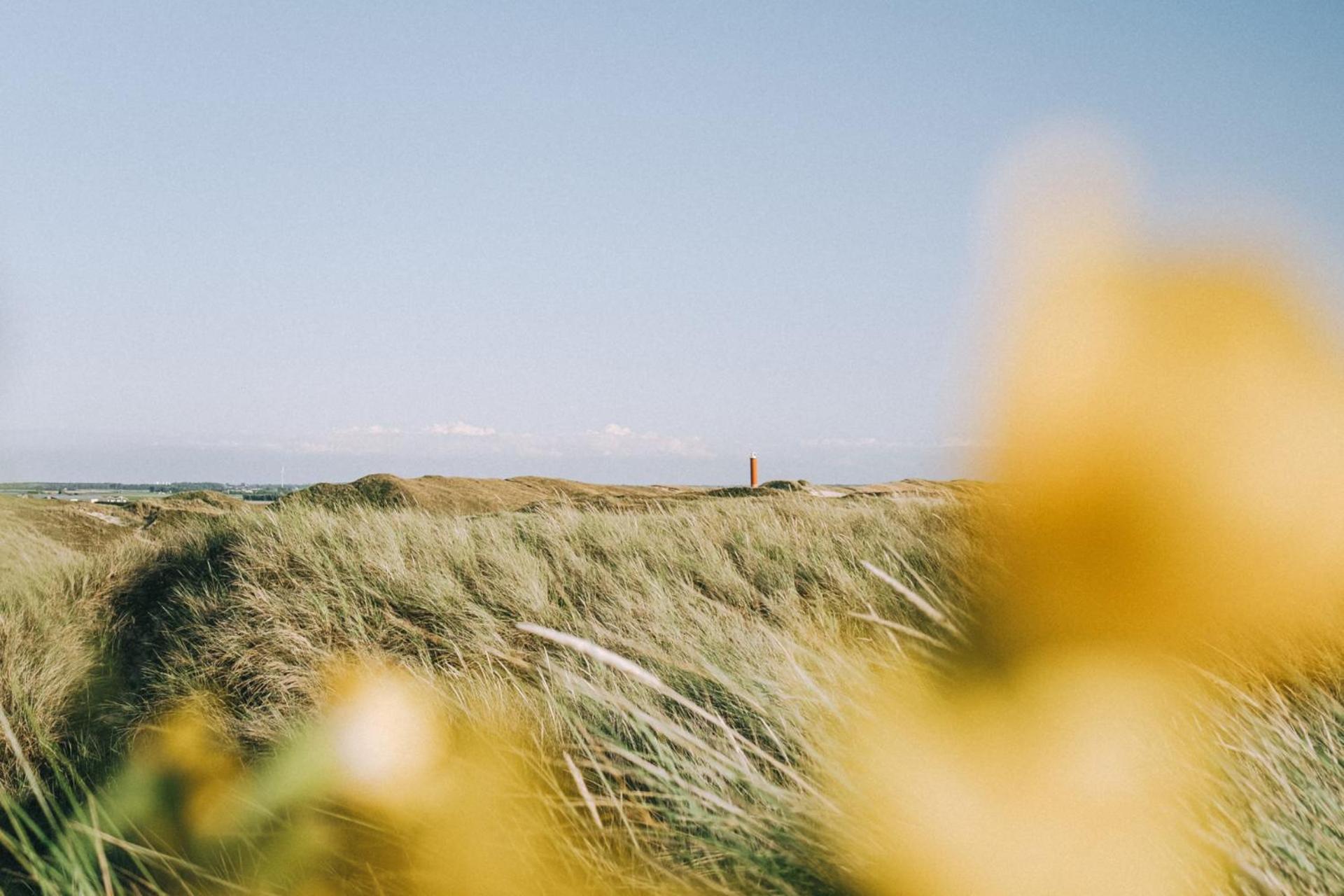 Beach Appartement 14 - Aan De Duinen, Callantsoog Aan Zee Εξωτερικό φωτογραφία